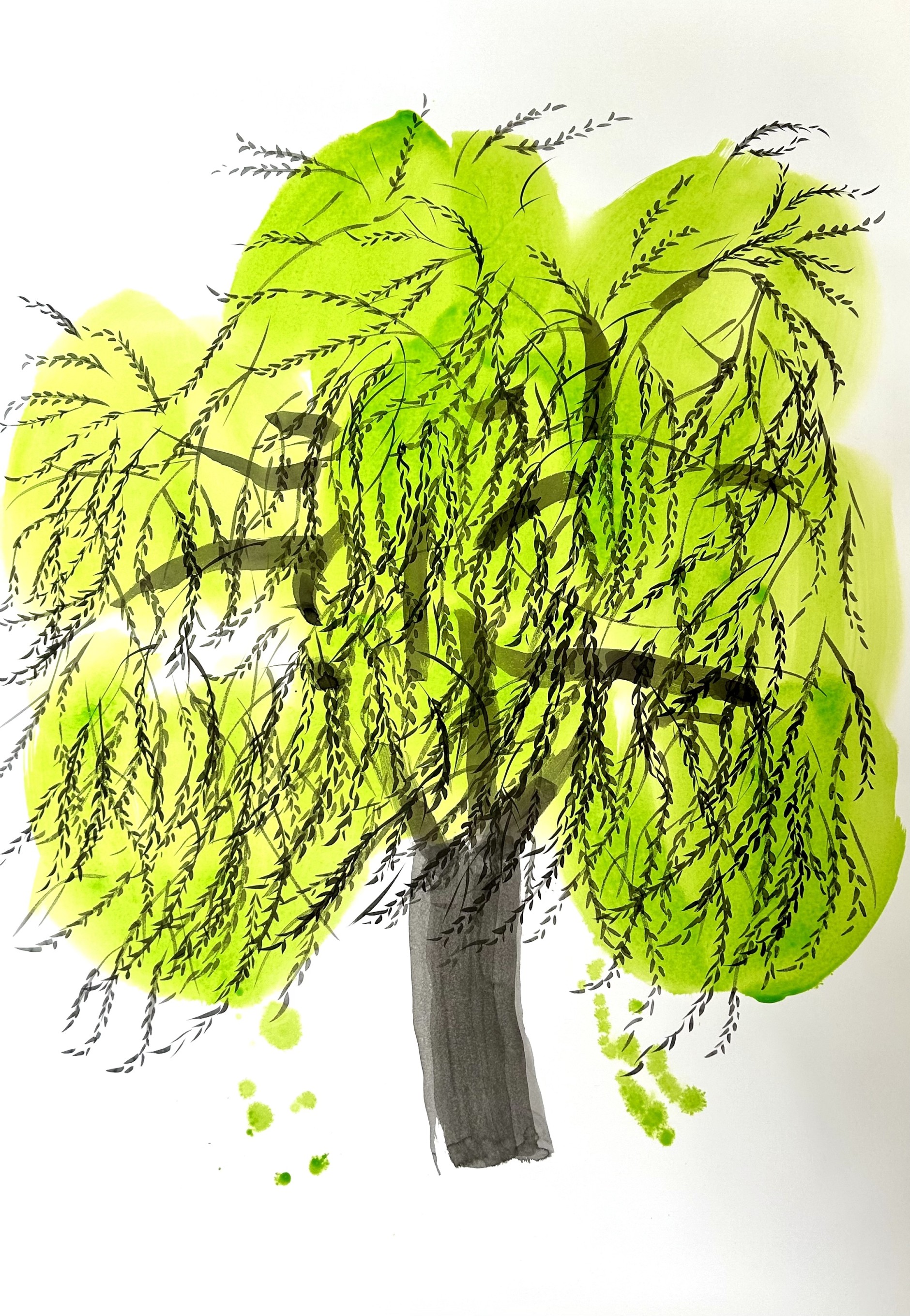 weeping willow 2024 ink acrylic on papar 100cm x 70 cm 